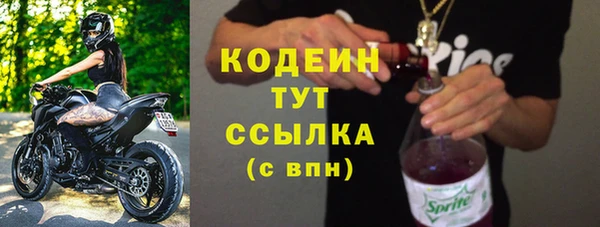 прущие крисы Ельня