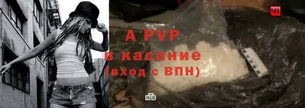 прущие крисы Ельня