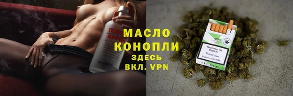 прущие крисы Ельня