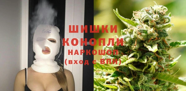 индика Дмитров