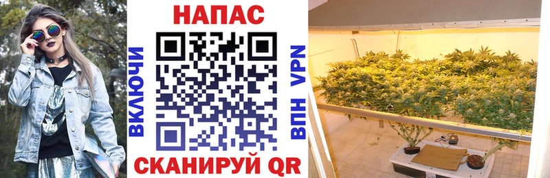 Канабис план Купить где Чулым